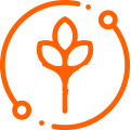 Pretzl Paulownia GmbH