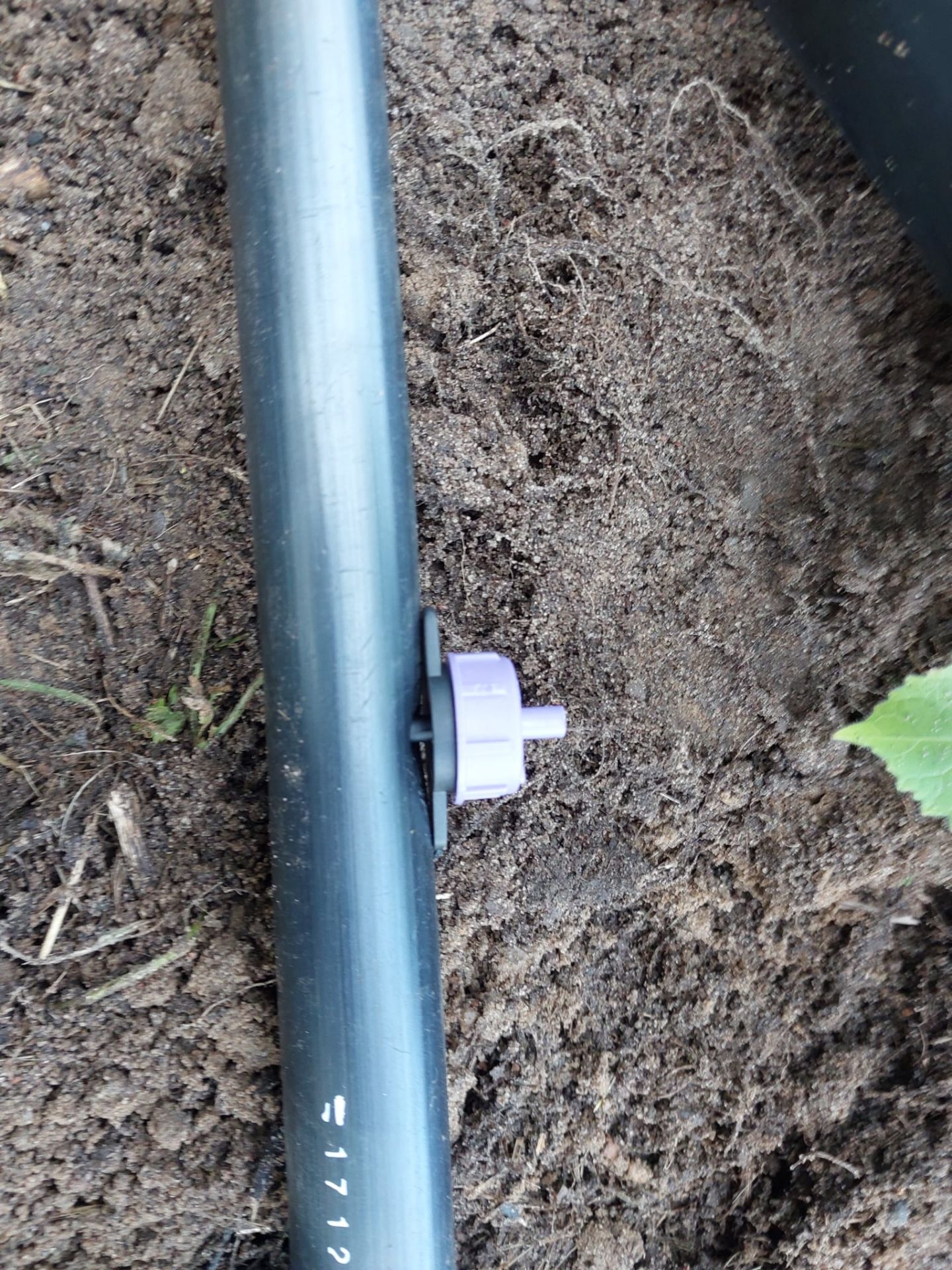 Bewässerungsanlage 100x100 Meter für 500 Bäume